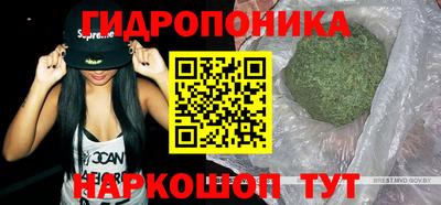 гашик Бугуруслан
